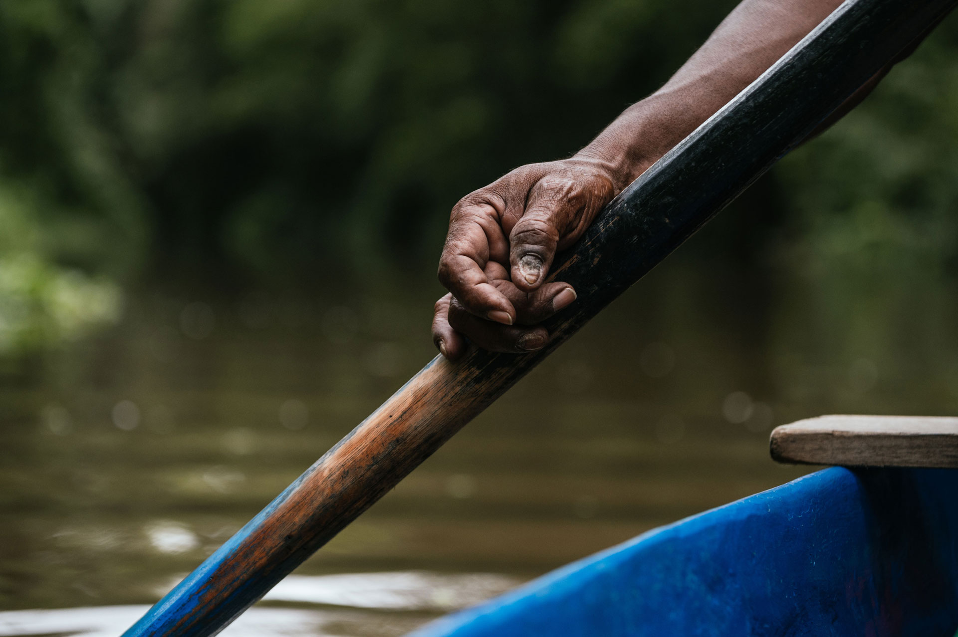 Ilustração lateral esquerda