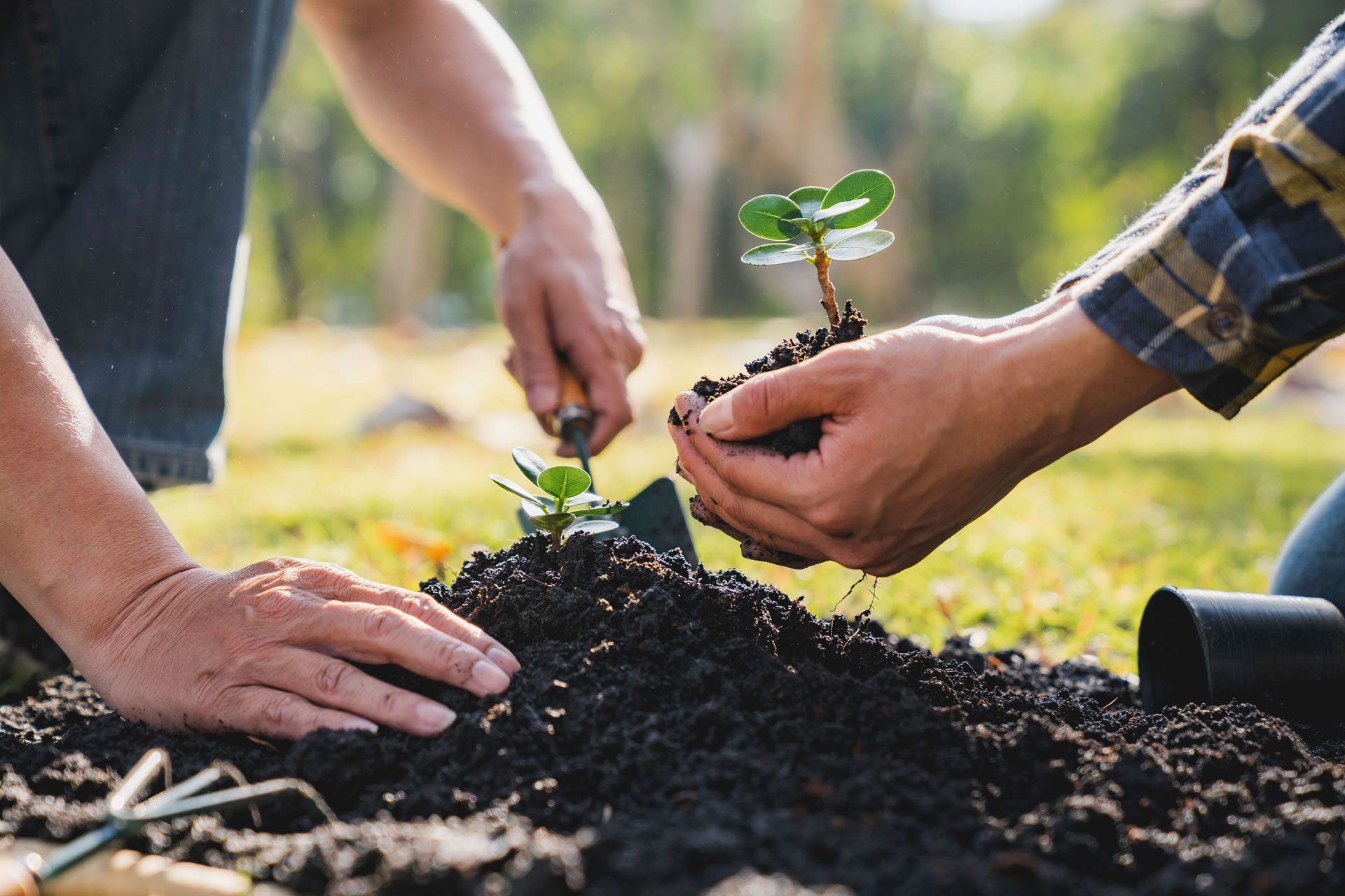 Ilustração lateral esquerda