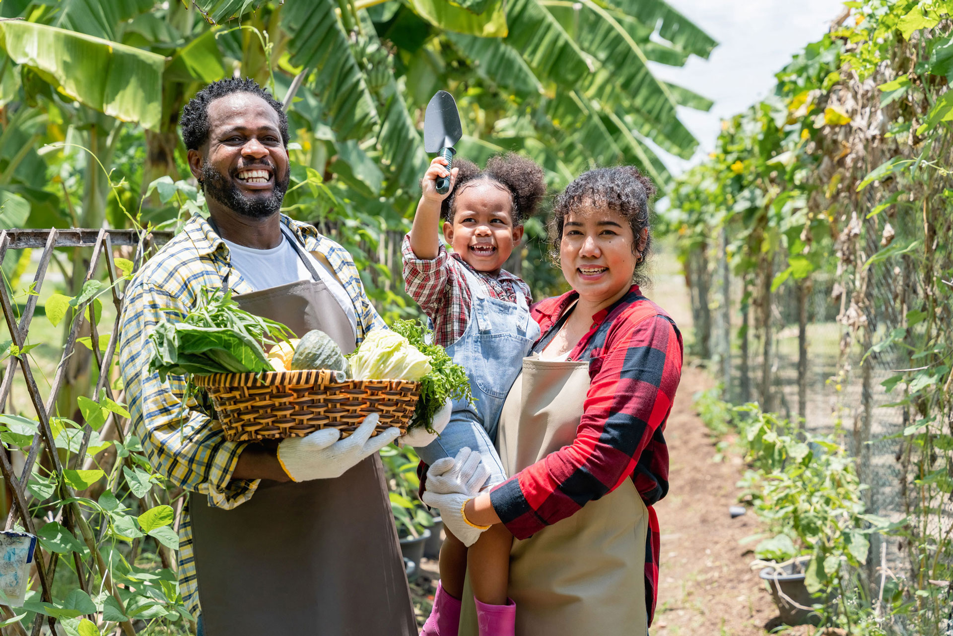 Ilustração lateral esquerda