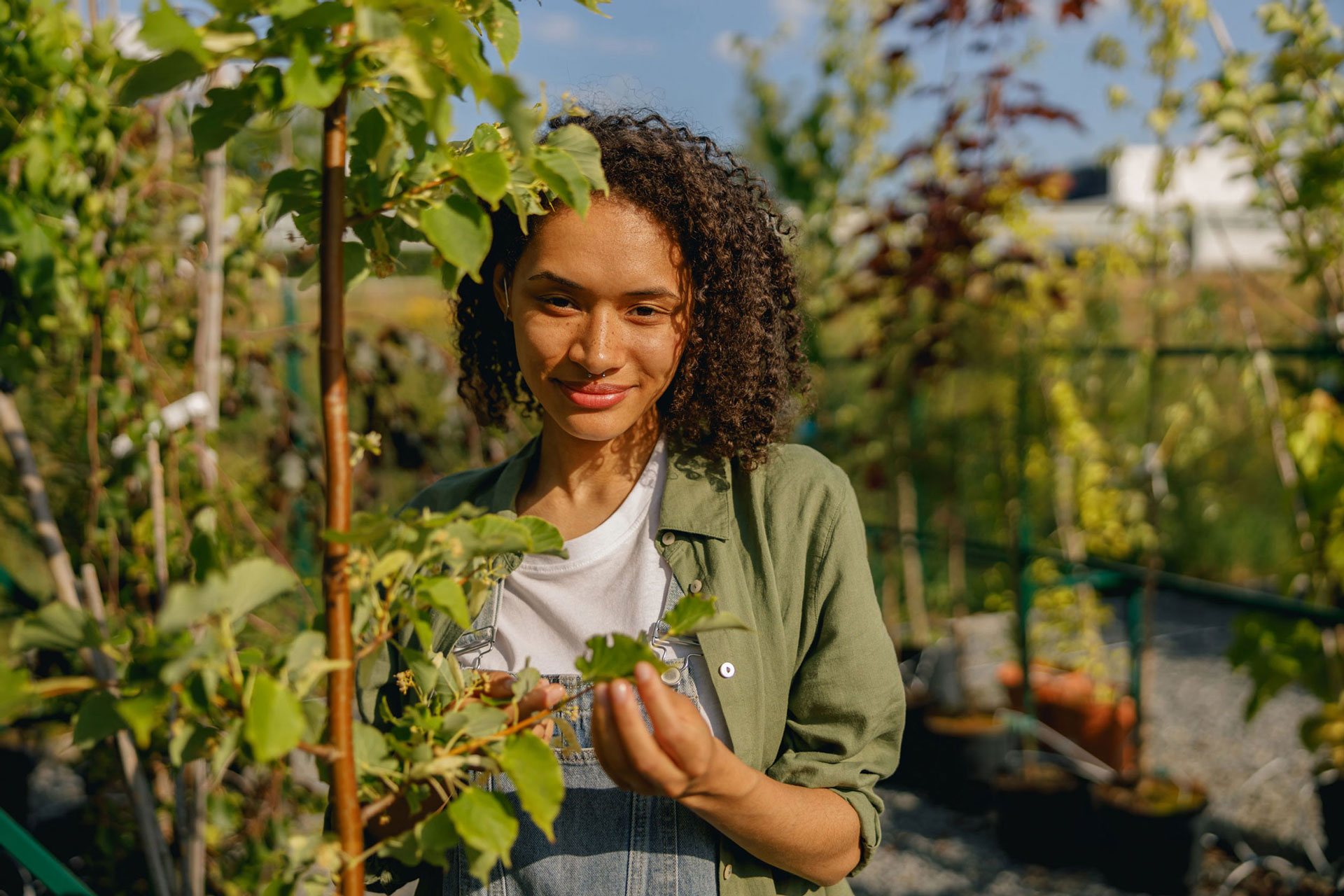 Ilustração lateral direita